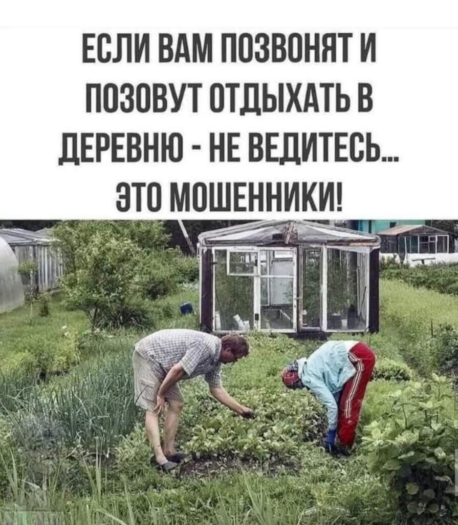 Не верьте им!