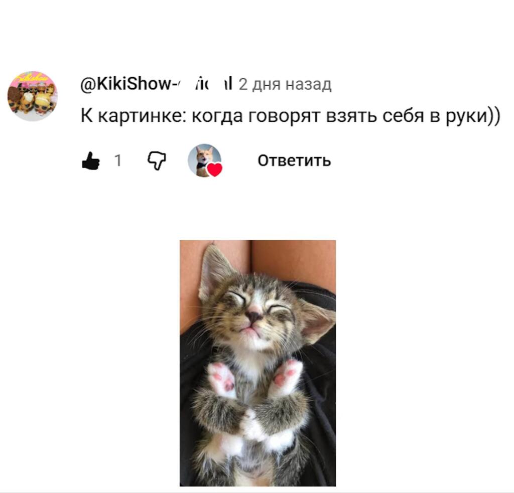 Я: блин, а если модеры не пропустят пост из-за названия канала?