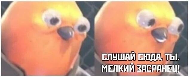 Когда вместо покупки, просто скачал картинку с сайта: