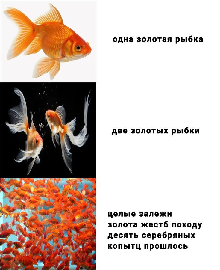 рыбоньки быбоньки :}