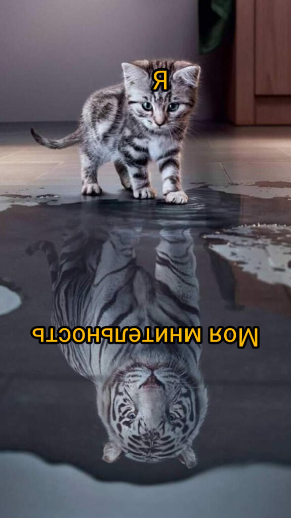 Я и моя мнительность