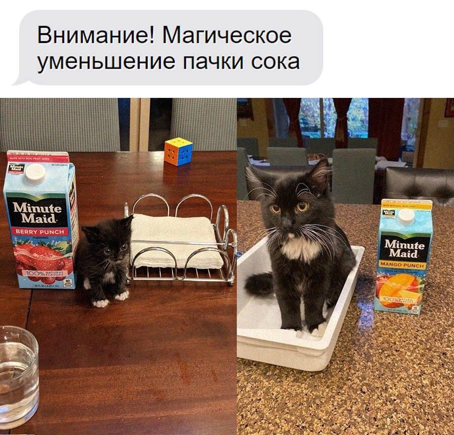 Мем без подписи