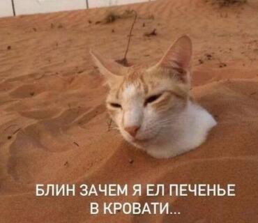 Жиза 😭