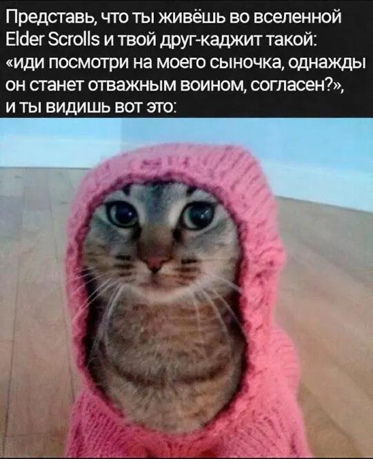 Мем от крабеф с точкой