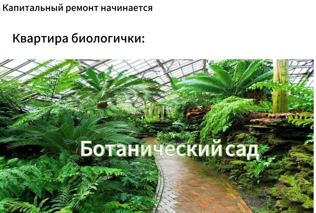 Ну а куда же ещё?