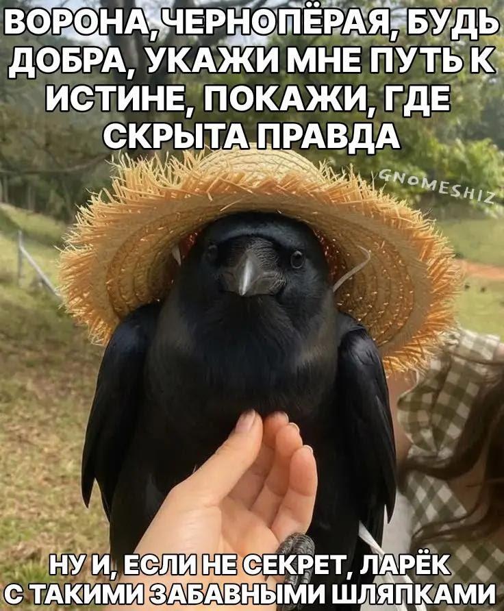воронэ