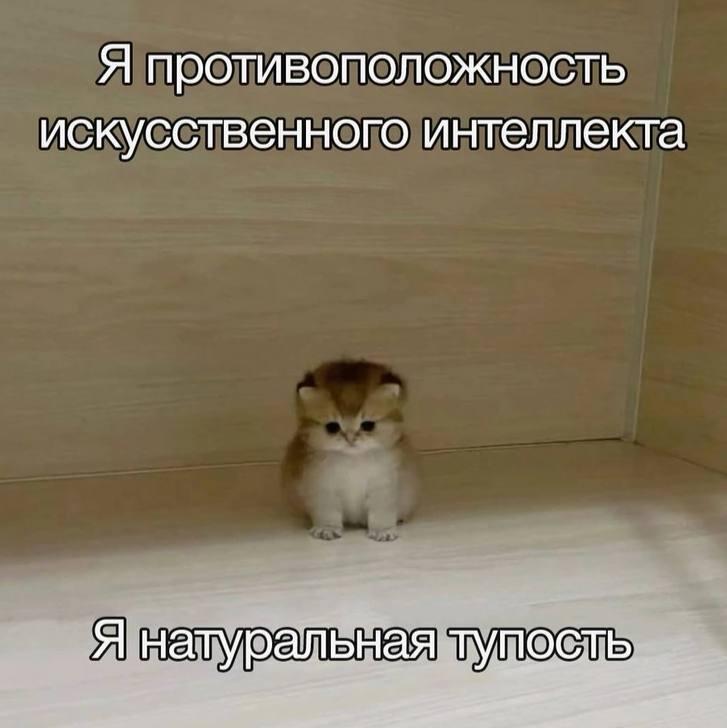 Тупо я.