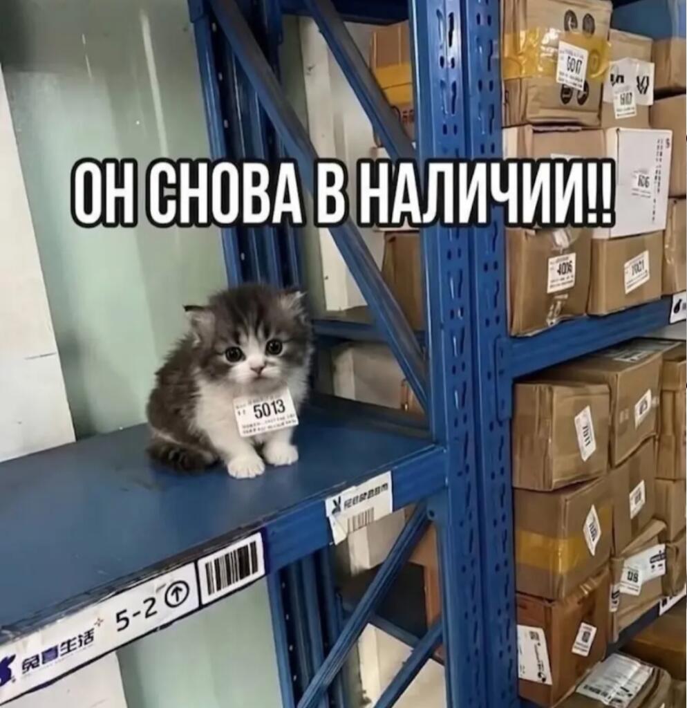 Мем от Илюха {ПЛМ}