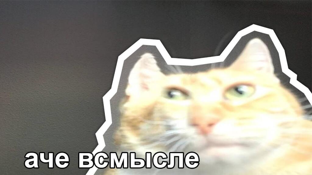 Рыжий кот с удивлённым выражением морды, надпись а чё всмысле
