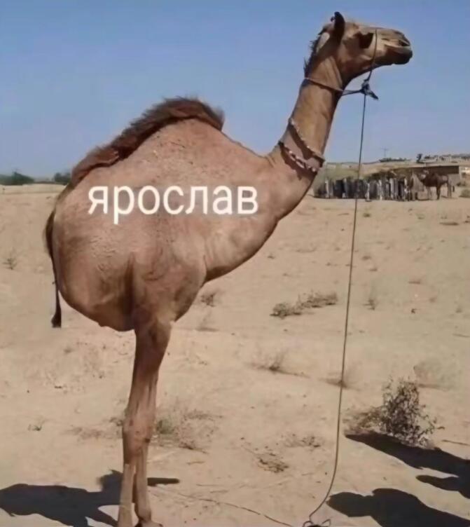 Это смешно? (нет)