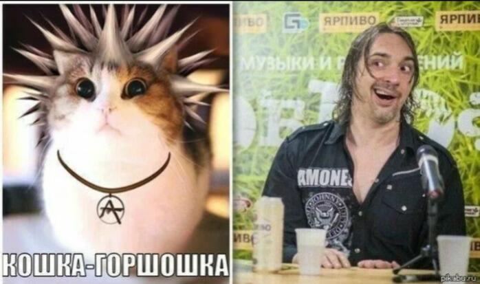 Да я фанат КиШа