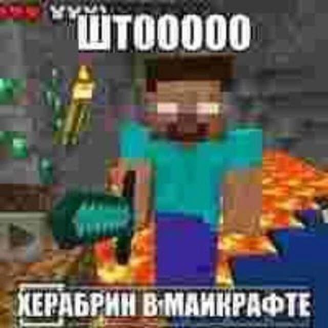 Стив из Майнкрафта с ксеробрином и надписью ШТООООО