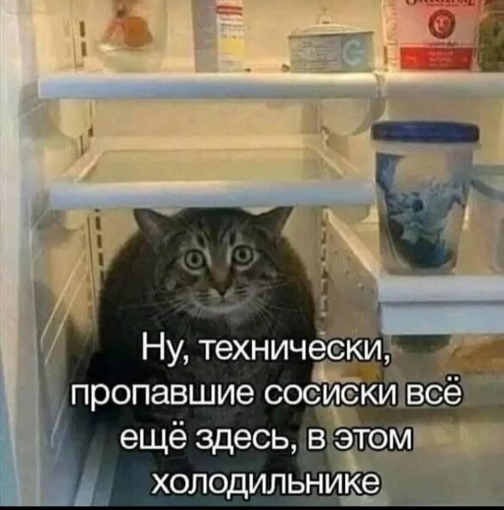 Полосатый кот сидит на полке внутри холодильника и смотрит в камеру, снизу надпись с шуткой про сосиски