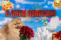Мем от тюлень иван "клан НРТ"
