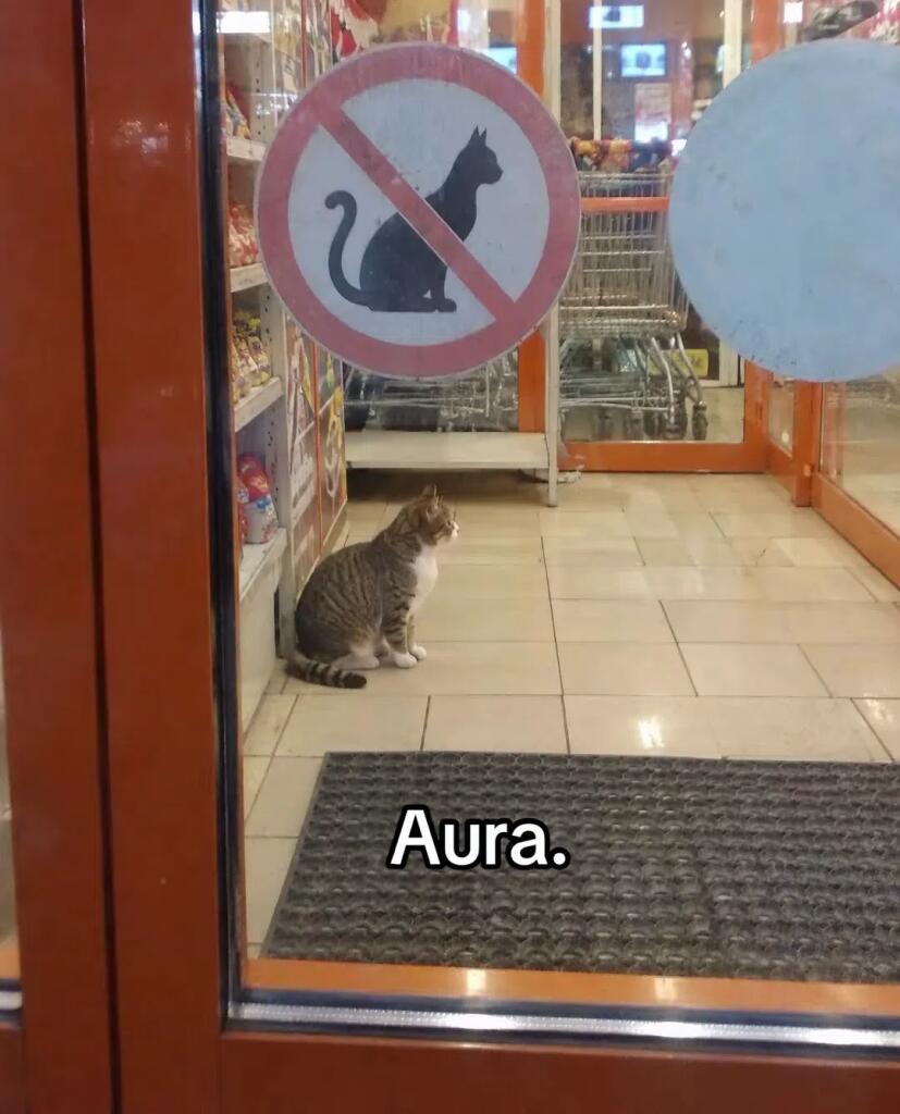 Мем без подписи