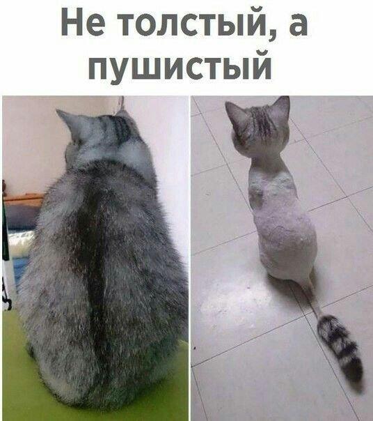 Мем от Ироник{ПЛМ}