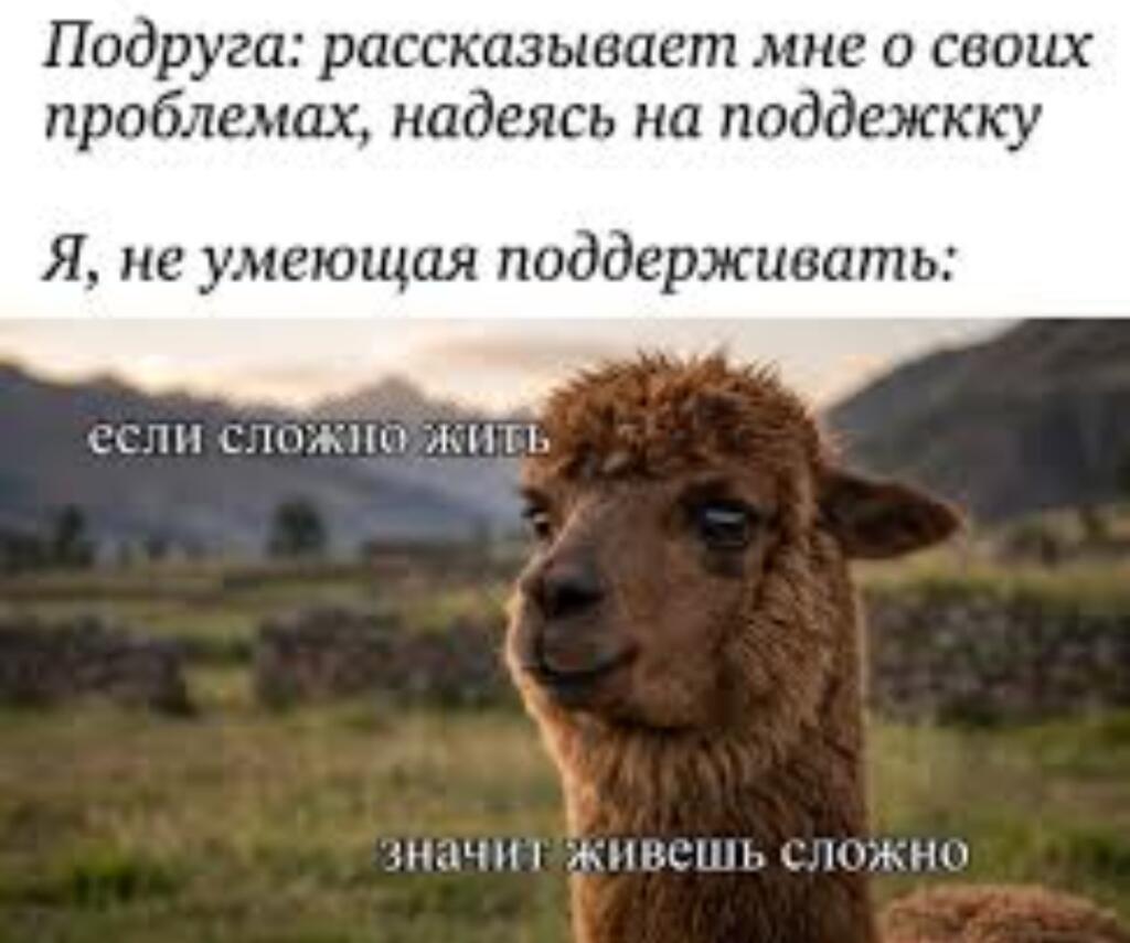 Альпака с грустным лицом на фоне гор, надпись: если сложно жить значит живешь сложно