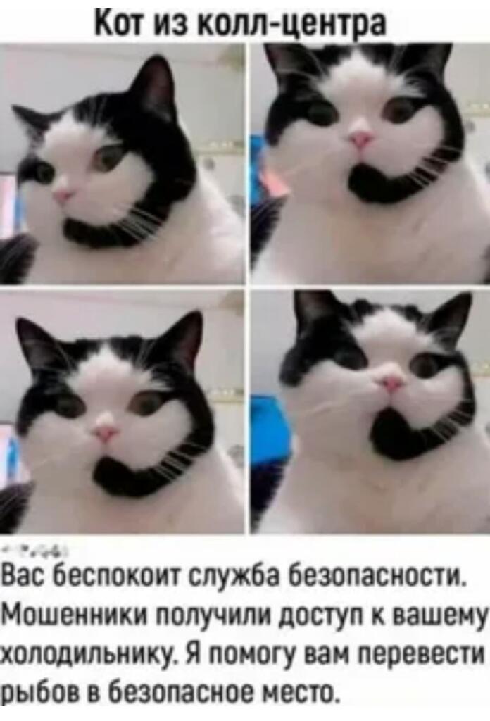 Я не буду никак это комментировать