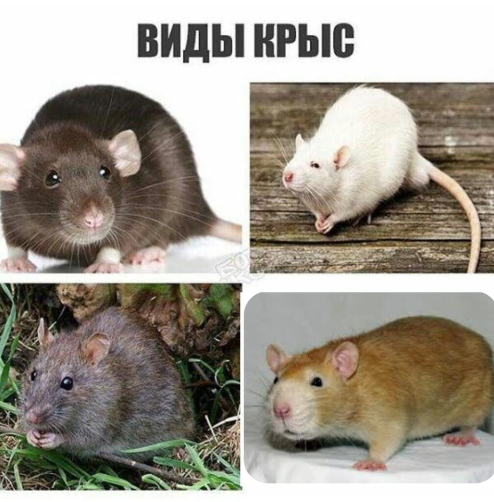 Гениально