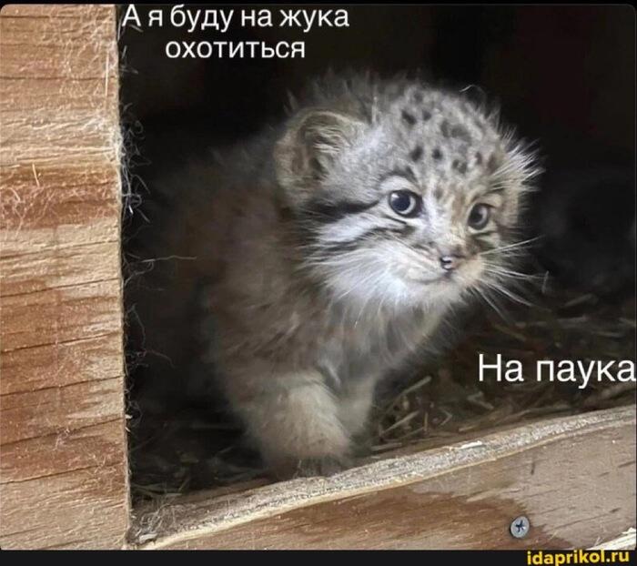 «Иногда нужно остановиться и заняться чем-то совершенно неожиданным, чтобы по-настоящему оживить рутину.»