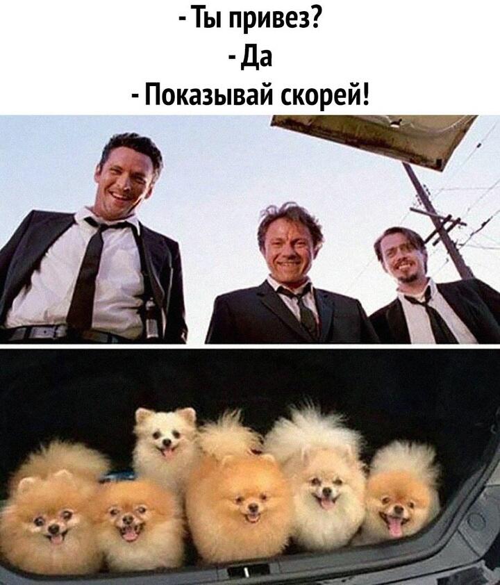 Мем от Фантоккио Великий