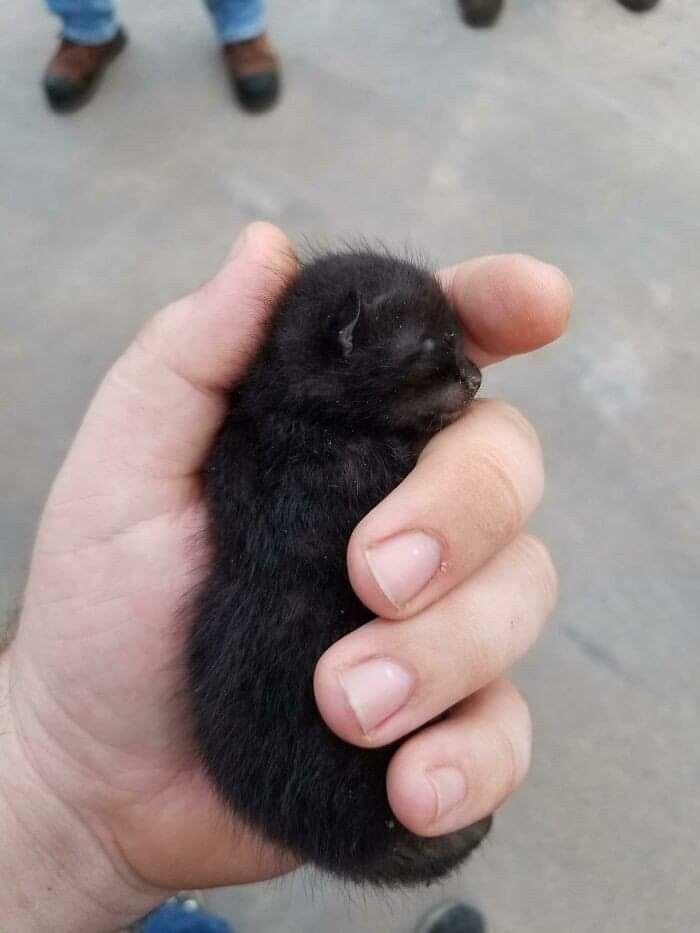 кроха ♡