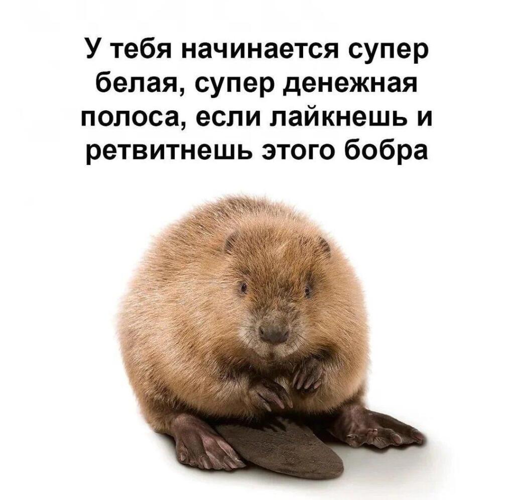 Мем без подписи