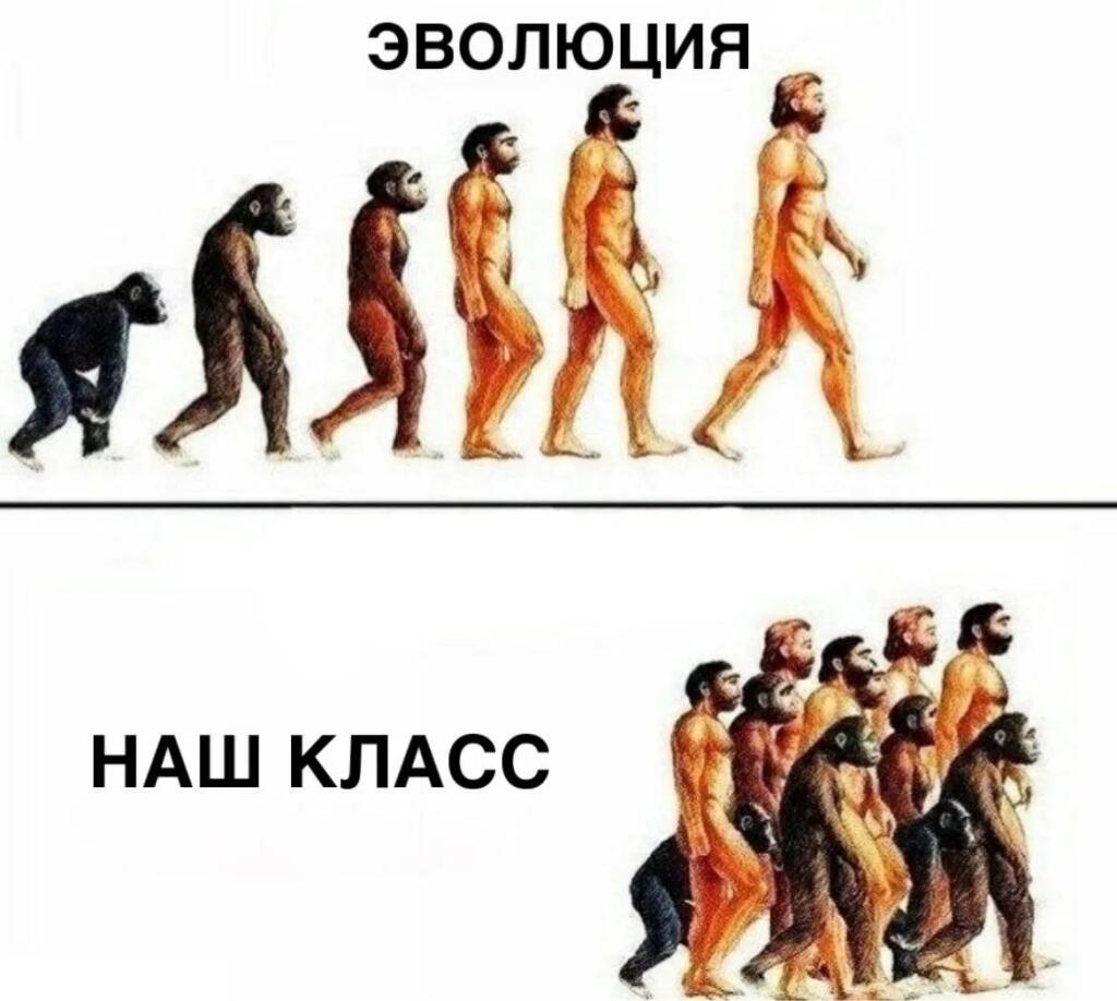 Шутка про то, что класс 5А проходит обратную эволюцию, превращаясь из людей в обезьян