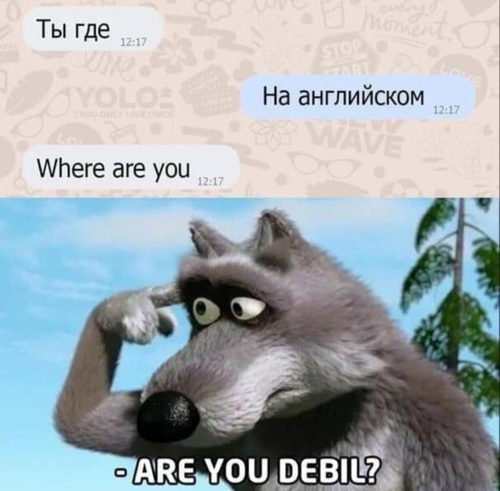Диалог: Ты где, На английском, Where are you, задумчивый волк и подпись Are you debil?