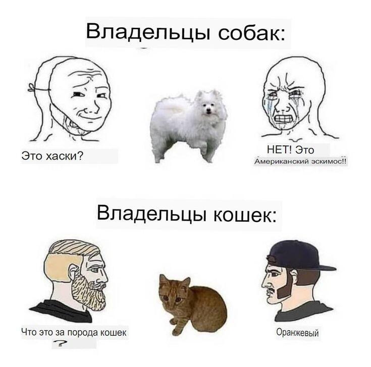 Так оно и есть...