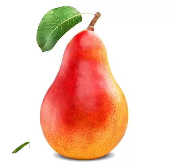 Это груша. Не ищите здесь смысла. Это просто груша.