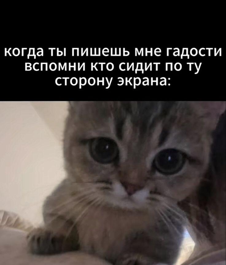 Документ на случай важных переговоров