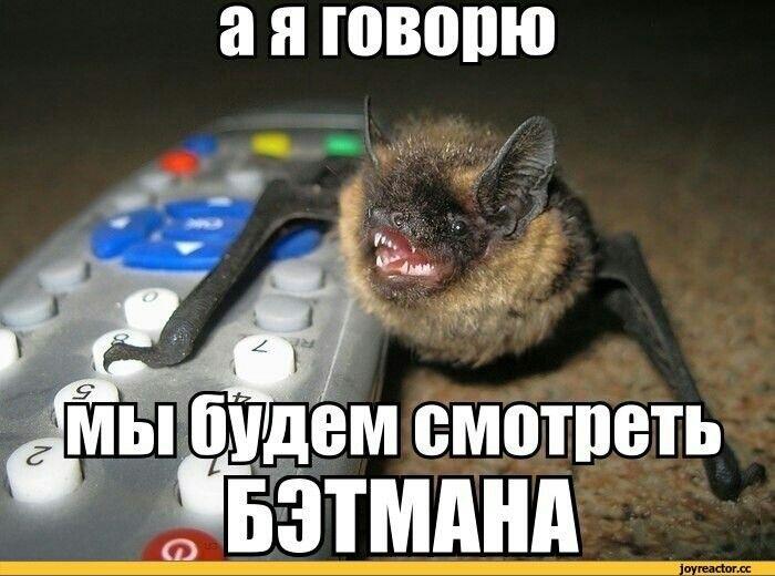 Мем от Zalyotnijj12