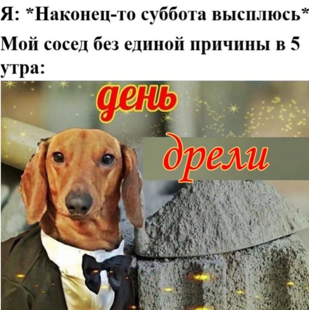 подаю признаки жизни✌️