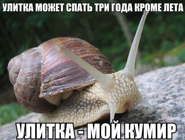 ваш рекорд по часам сна :?