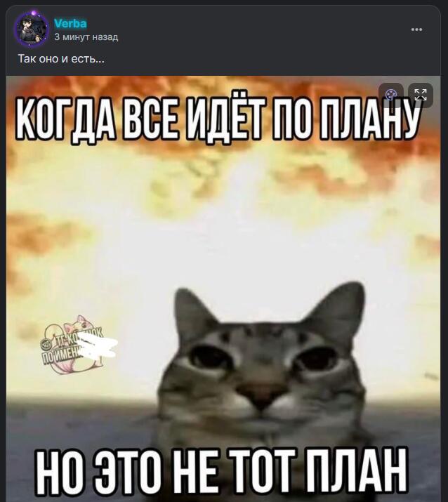 Табличка с текстом 'Когда всё идёт по плану, но это не тот план' и фото кота с грустным выражением морды на фоне взрыва
