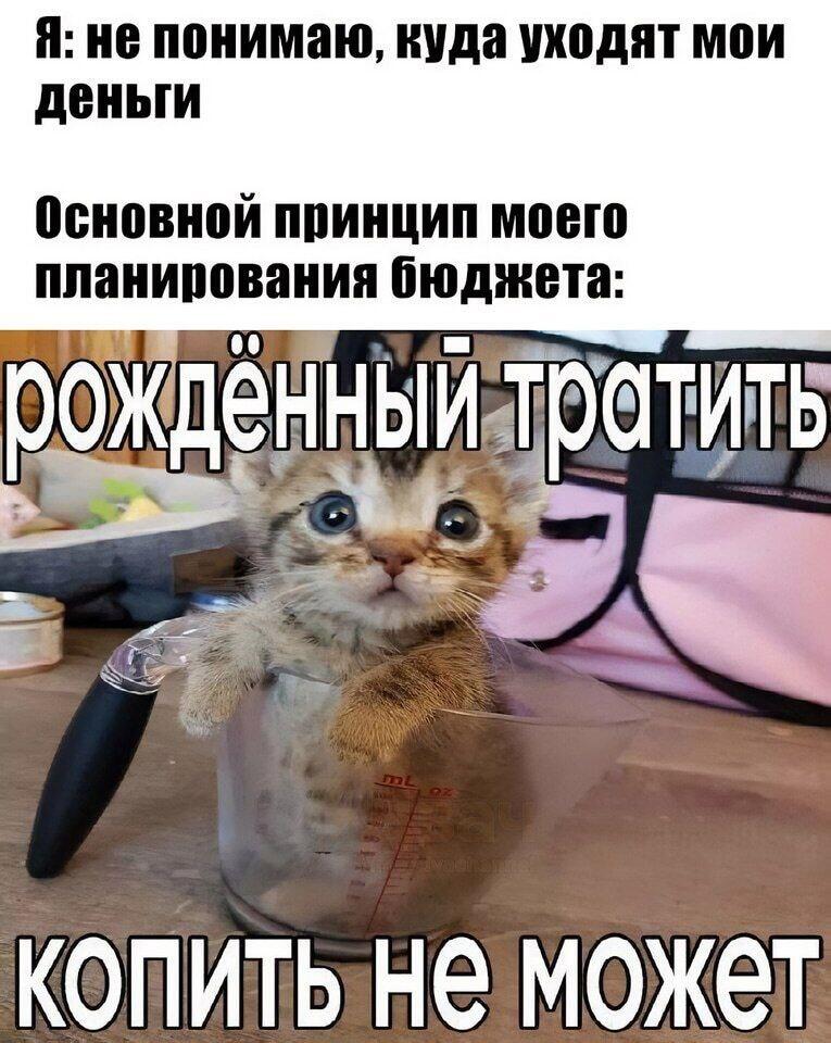 Рождённый тратить копить не может!