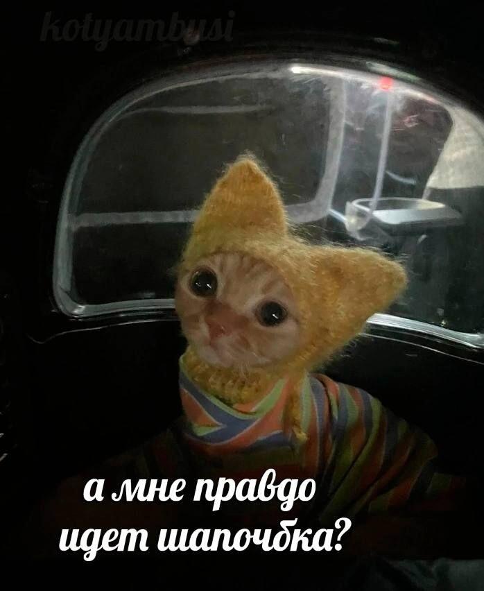 Мем от Лампчка (бебебеПЛМ)