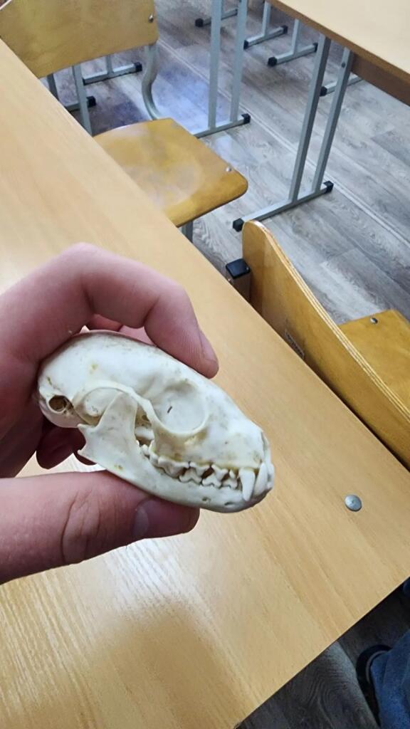 Рука держит старое ветеринарное устройство с металлическим корпусом и шлангом на деревянном столе (6 из 7)