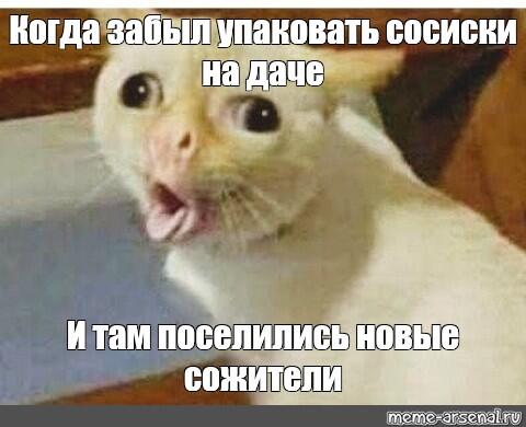 Кот с удивлённым лицом и открытым ртом, надпись про забытые на даче сосиски и новых сожителей