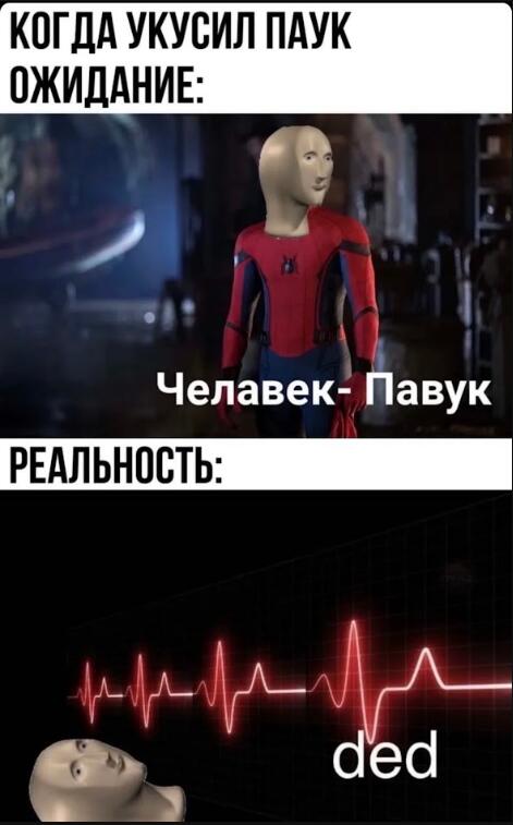 Мем с ожиданием стать ЧелаВеком-Павуком и реальностью с надписью ded