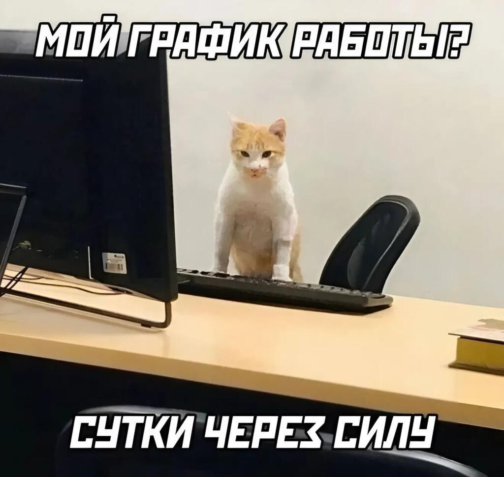 Мем без подписи