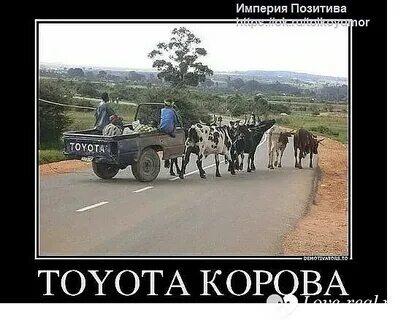 Слева три поколения Toyota Land Cruiser, справа лысые затылки мужчин, надпись Гайд по выбору (2 из 2)