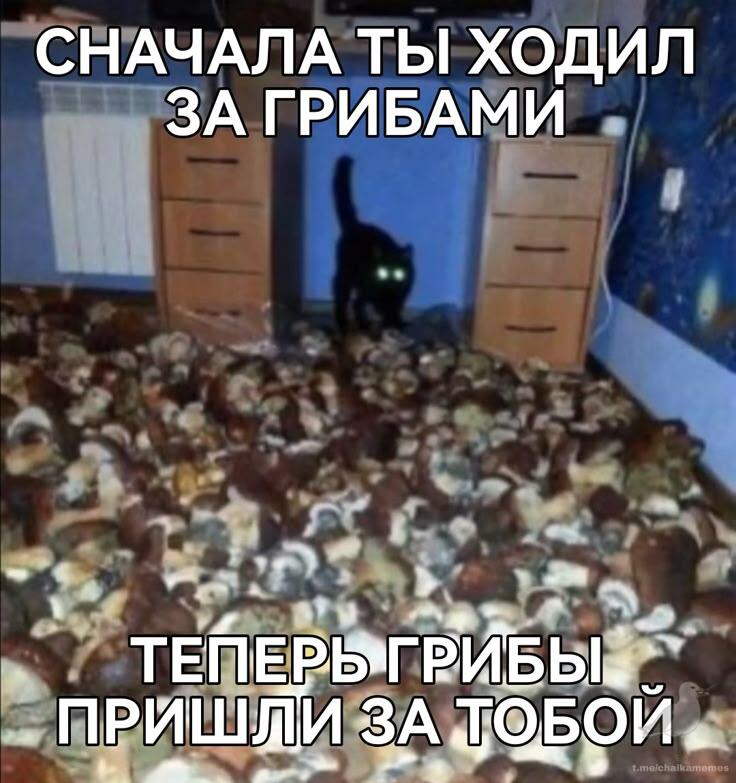 Мем от 🌸💥|цвяточный ад {ПЛМ}