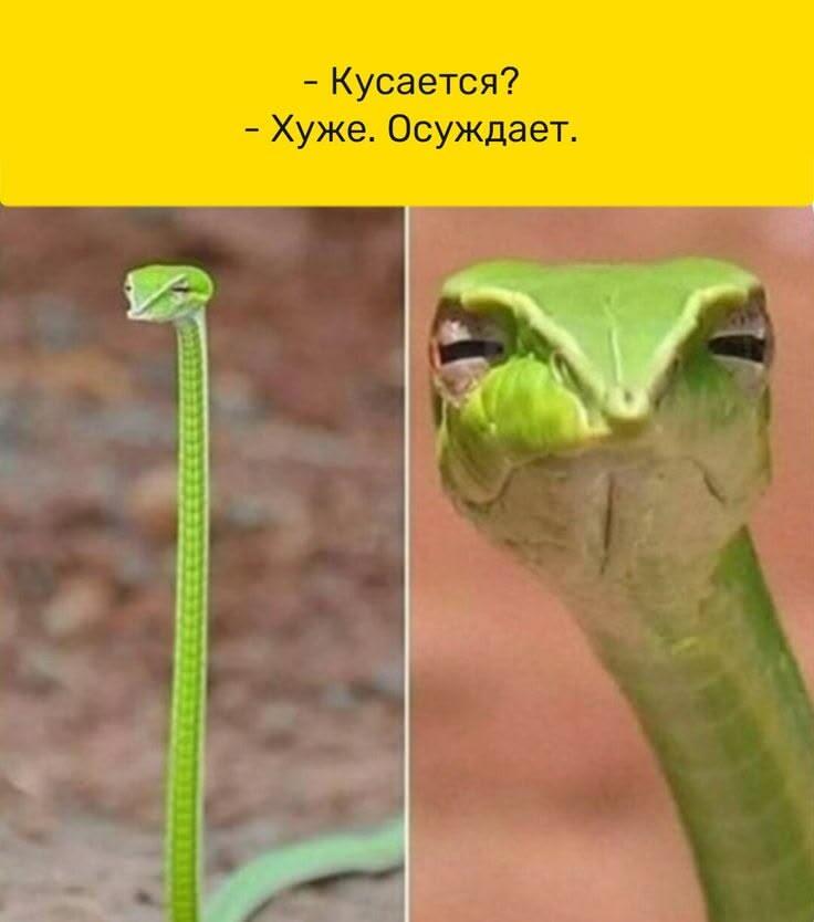 Мем от Ироник{ПЛМ}