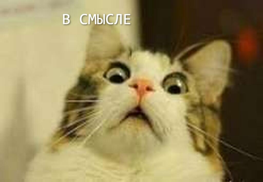 Когда узнали что до школы осталось 9 ДНЕЙ
Я: