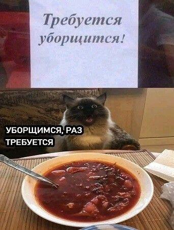 Сегодня как раз борщ готовила)