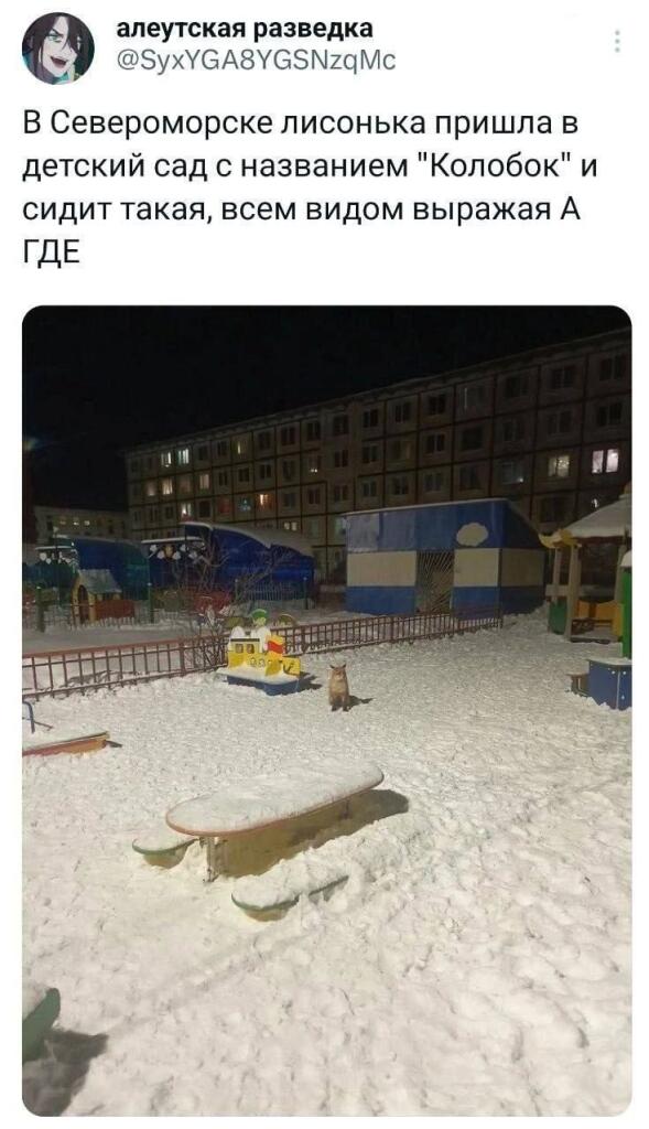 Большое разочарование