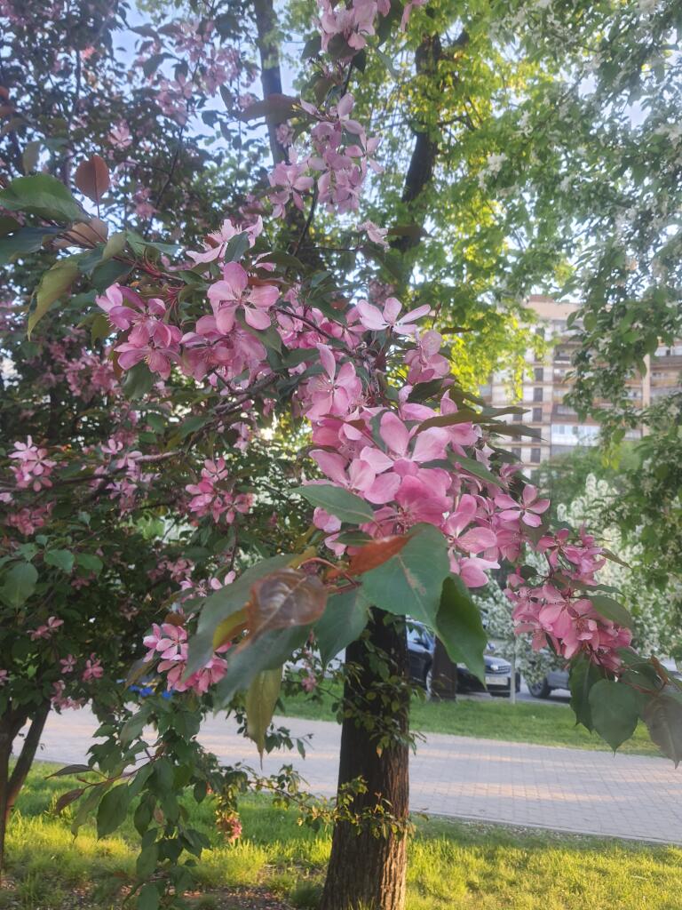 Сегодня гуляли и фотографировали всё на своём пути 🌱