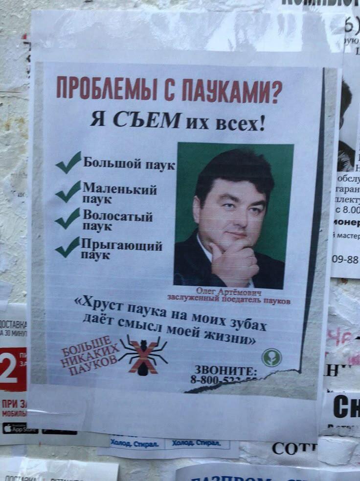 сколько арахнофобов проживает на мемозге?? Может вы один из них?